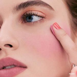 Bobbi Brown Pot Rouge Velvet Matte